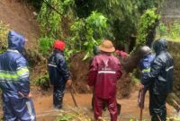 1762450296615-longsor-di-abiansemal-1757482412412_169