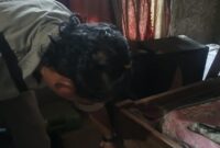 1762536642601-polisi-melakukan-olah-tkp-warga-bunuh-diri-di-desa-timau-kecamatan-amfoang-barat-laut-kabupaten-kupang-ntt-jumat-7112025-sore--1762516452899_169