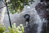 1762688286849-ilustrasi-hujan-1762235553812_169