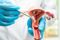 1763012109800-ilustrasi-rahim-terbalik_169