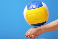 1763270933006-ilustrasi-voli-pantai_43