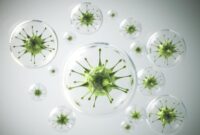 1763271053335-ilustrasi-virus_169