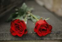 1763314112656-2020861567_169