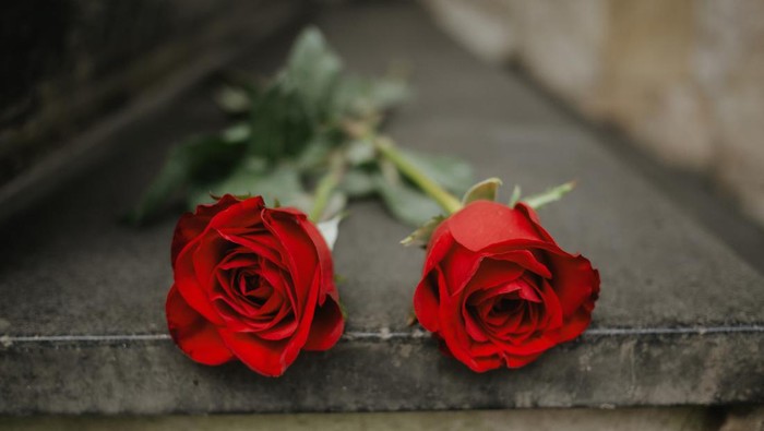 1763314112656-2020861567_169