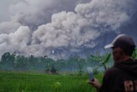 1763636729055-semeru-erupsi-awan-panas-menggulung-lereng-sumberwuluh-1763608400438_169