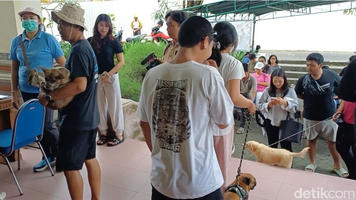 1763831111799-warga-badung-menggeruduk-layanan-sterilisasi-dan-vaksinasi-anjing-gratis-di-mangupura-vet-care-kantor-diperpa-badung-sabtu-221-1763813856104_169