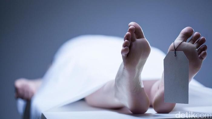 1764219962988-penemuan-mayat-wanita-duduk-di-melaya_169