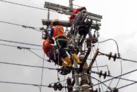 1764219970241-perjuangan-petugas-pln-rawat-jaringan-untuk-tingkatkan-pelayanan-1_169