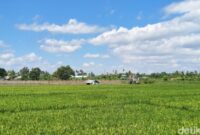 1764263125251-suasana-lahan-pertanian-di-by-pass-kota-mataram-beberapa-waktu-lalu-nathea-citradetikbali-1764243228434_169
