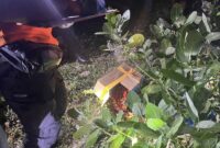 1764349520965-kardus-yang-berisi-bayi-laki-laki-yang-ditemukan-di-pinggir-jalan-ke-arah-pegunungan-kelurahan-panggi-kecamatan-mpunda-kota-bi-1764342577170