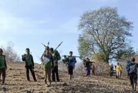 1764500739089-warga-berburu-babi-hutan-menjelang-musim-tanam-di-desa-mbawa-kecamatan-donggo-kabupaten-bima-ntb-belum-lama-ini-foto-dok-istim-1764488029231_169