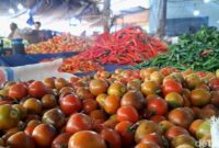 1764608773132-tomat-1764600980831_169