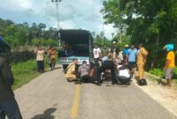 1764608776104-polisi-tabrak-kambing-1764596443023_169