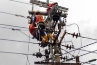 1764651951676-perjuangan-petugas-pln-rawat-jaringan-untuk-tingkatkan-pelayanan-1_43