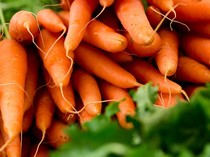 1764651953798-keracunan-wortel-supermarket_43