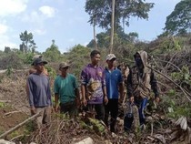 1764781575592-warga-dan-kades-labuan-kananga-kecamatan-tambora-kabupaten-bima-ntb-mengecek-aktivitas-pembabatan-hutan-di-lereng-gunung-tambo-1754217832071_43