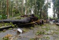 1764824770805-situasi-depan-pura-bukit-sari-sangeh-pasca-tragedi-pohon-tumbang-di-falam-kawasan-objek-wisata-sangeh-kecamatan-abiansemal-bad-1764812347728_43