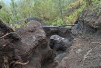 1764932756847-kondisi-jalur-pendakian-di-gunung-rinjani-lombok-ntb-yang-mengalami-longsor-dan-berongga-akibat-curah-hujan-yang-cukup-tinggi--1764931008835_43