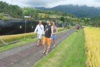 1764932758332-sejumlah-wisatawan-melintas-di-depan-bentangan-plastik-hitam-yang-dipasang-oleh-petani-di-kawasan-subak-jatiluwih-tabanan-bali-1764926180911_169