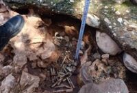 1764932766779-polisi-melakukan-olah-tkp-di-lokasi-penemuan-29-butir-amunisi-di-jalan-ikan-karpel-kelurahan-nonohonis-kecamatan-kota-soe-tts--1764918762484_43