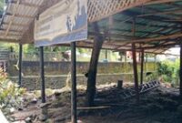 1765105569201-kondisi-terkini-pasca-banjir-di-wisata-otak-kokok-joben-desa-pesanggrahan-kecamatan-montong-gading-lombok-timur-ntb-minggu-712-1765093410211_43