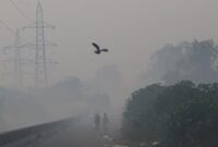 1765170345654-potret-kabut-polusi-bikin-udara-makin-kritis-1761027442426_43