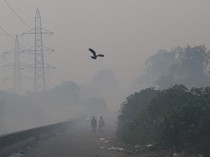 1765170345654-potret-kabut-polusi-bikin-udara-makin-kritis-1761027442426_43