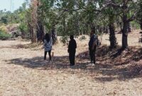 1765191925204-lokasi-yang-akan-digunakan-untuk-pembangunan-tpa-di-wilayah-banjar-dinas-tegallanglangan-desa-datah-kecamatan-abang-karangasem-1765185585434_169