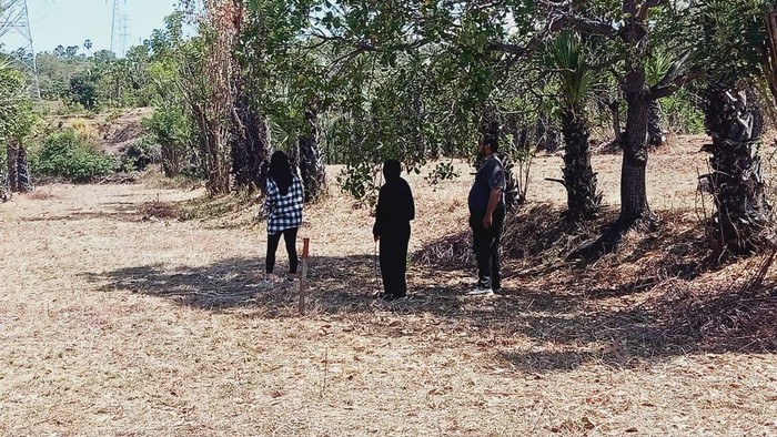 1765191925204-lokasi-yang-akan-digunakan-untuk-pembangunan-tpa-di-wilayah-banjar-dinas-tegallanglangan-desa-datah-kecamatan-abang-karangasem-1765185585434_169