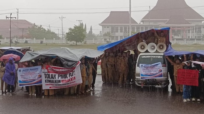 1765213529563-apdesi-kabupaten-lembata-rela-diguyur-hujan-deras-saat-menggelar-aksi-damai-di-depan-kantor-dprd-dan-kantor-bupati-lembata-ntt-1765208762776_169
