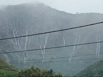 1765213529999-fenomena-air-terjun-dadakan-dari-perbukitan-sembalun-lombok-timur-ntb-saat-hujan-deras-senin-8122025-tangkapan-layar-video-1765207650586_43