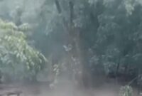 1765256737850-banjir-lahar-panas-1765244360585_43