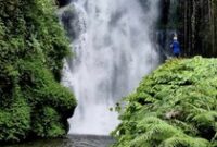 1765256739435-air-terjun-cemara-wanagiri-di-buleleng-bali-dok-tangkapan-layar-google-riviewer-junio-khim-2023-1765183586208_43