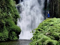 1765256739435-air-terjun-cemara-wanagiri-di-buleleng-bali-dok-tangkapan-layar-google-riviewer-junio-khim-2023-1765183586208_43