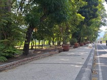 1765343131448-suasana-penataan-taman-udayana-kota-mataram-jumat-2282025-foto-nathea-citradetikbali-1755859875948_43