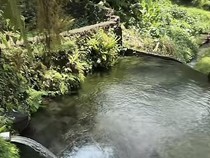 1765343131866-petung-natural-water-toya-babah-karangasem-dok-tangkapan-layar-tiktok-riview-tibatibadibali-2025-1765270529609_43