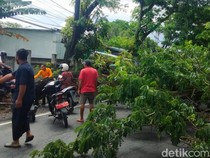 1765364734284-pohon-tumbang-hujan-deras-yang-menyebabkan-arus-lalu-lintas-macet-di-dusun-letok-desa-rumbuk-timur-kecamatan-sakra-lombok-timu-1765354396961_43