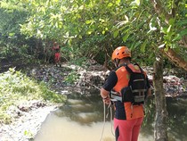 1765386313468-tim-sar-mencari-lansia-hilang-di-kawasan-hutan-mangrove-tahura-ngurah-rai-denpasar-dok-basarnas-bali-1765374646996_43