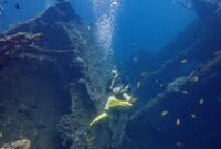 1765472713475-menikmati-keindahan-bawah-laut-tulamben-bali-1744612293881_43