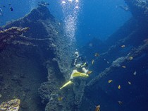 1765472713475-menikmati-keindahan-bawah-laut-tulamben-bali-1744612293881_43