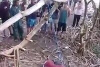 1765537540341-mayat-pria-1765524566872_43