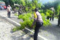 1765559124514-petugas-dan-warga-menangani-pohon-tumbang-yang-menutup-badan-jalan-di-banjar-dinas-madan-desa-musi-kecamatan-gerokgak-jumat-12-1765541894949_43