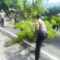 1765559124514-petugas-dan-warga-menangani-pohon-tumbang-yang-menutup-badan-jalan-di-banjar-dinas-madan-desa-musi-kecamatan-gerokgak-jumat-12-1765541894949_43