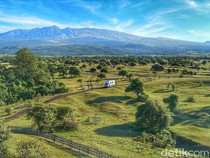 1765602315165-padang-savana-doro-ncanga-gunung-tambora-di-taman-nasional-tambora-dompu-ntb-foto-dok-istimewa-1765598546594_43