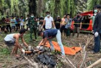 1765688702234-mayat-siswa-smk-di-tengah-kebun-sawit-1765621926862_169