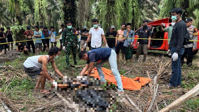 1765688702234-mayat-siswa-smk-di-tengah-kebun-sawit-1765621926862_169