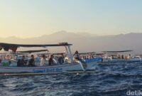 1765710335870-lumba-lumba-di-pantai-lovina-bali_169