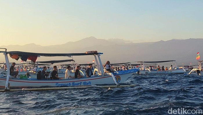 1765710335870-lumba-lumba-di-pantai-lovina-bali_169