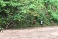 1765731925942-banjir-di-dompu-1765711793196_43