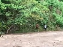 1765731925942-banjir-di-dompu-1765711793196_43